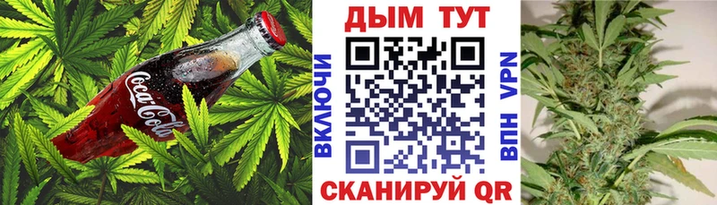 Canna-Cookies марихуана  Купить где  Канаш 