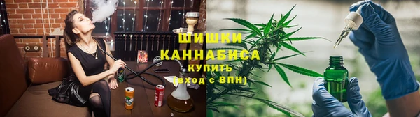 гидра Заводоуковск