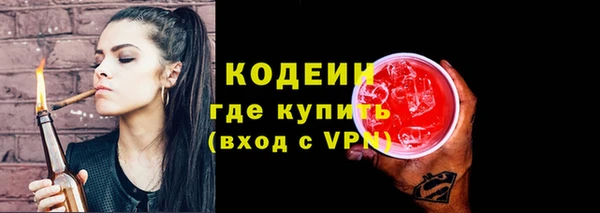 гидра Заводоуковск