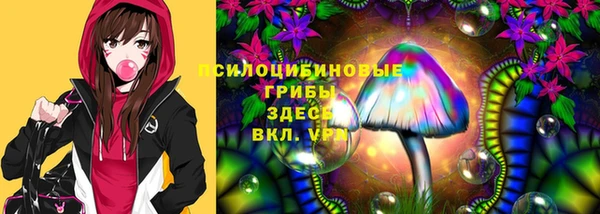 гидра Заводоуковск