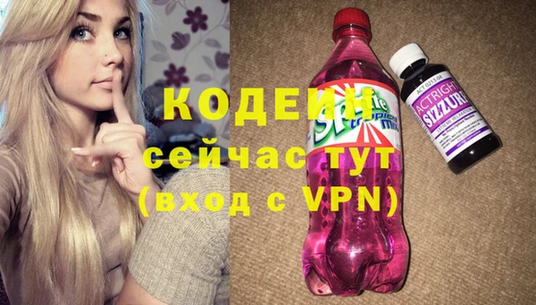 гидра Заводоуковск