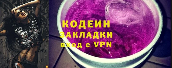 гидра Заводоуковск
