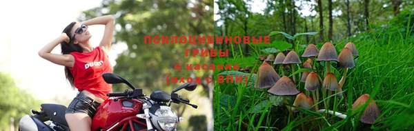 гидра Заводоуковск