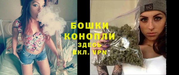 гидра Заводоуковск