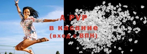 гидра Заводоуковск