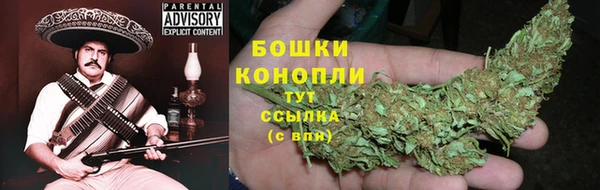 гидра Заводоуковск