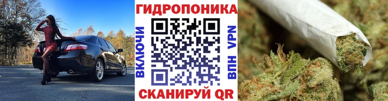 Бошки Шишки сатива  Купить где  Канаш 
